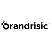 Brandrisic Media Pvt Ltd logo