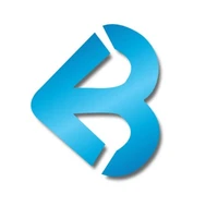 Brandyad logo