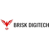 Brisk Digitech logo