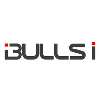 Bulls I logo