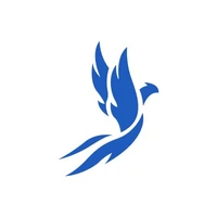 Digisculpt Technologies Pvt Ltd logo