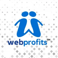 WebProfits - India's best Web Design and Digital Marketing Agency - Advertising (ATL, BTL, TTL), SEO agency serving clients in New Delhi and across India